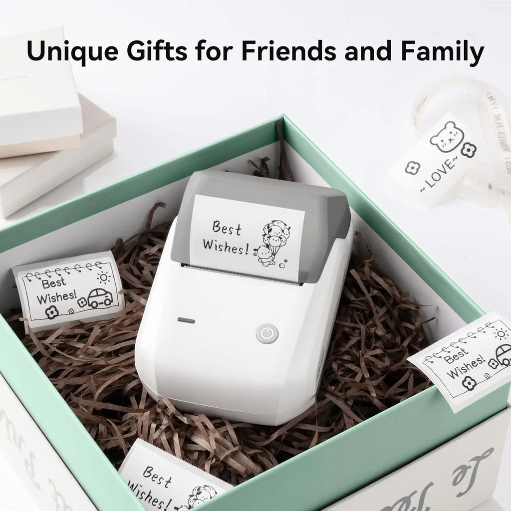 NIIMBOT B1 Thermal Label Printer